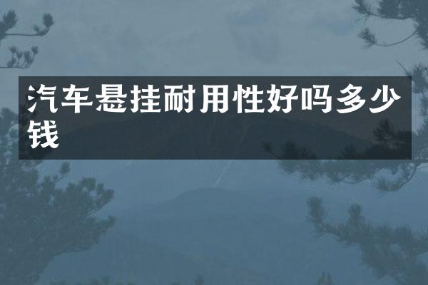 汽车悬挂耐用性好吗多少钱