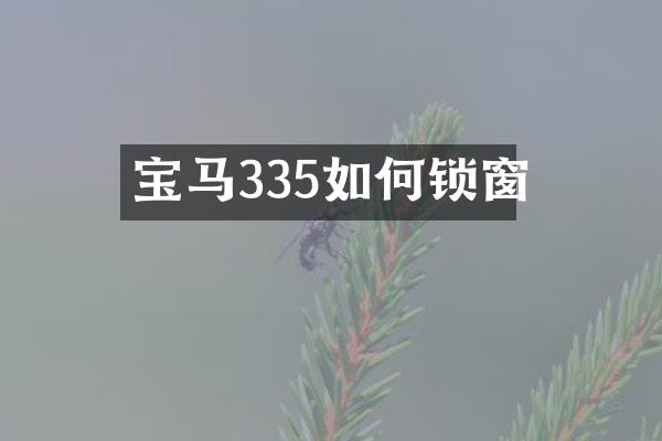 宝马335如何锁窗