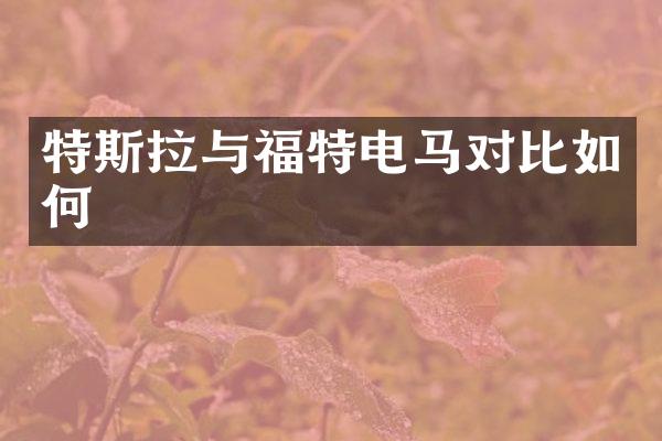 特斯拉与福特电马对比如何