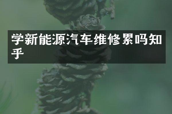 学新能源汽车维修累吗知乎