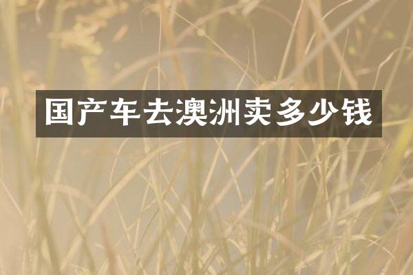 国产车去澳洲卖多少钱