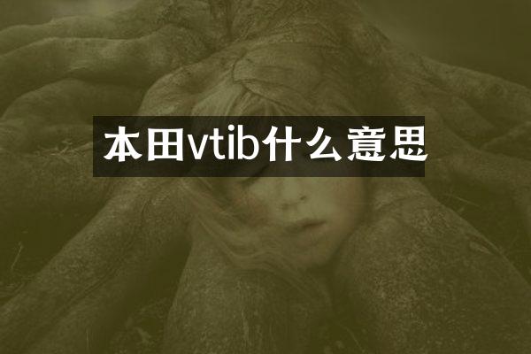本田vtib什么意思
