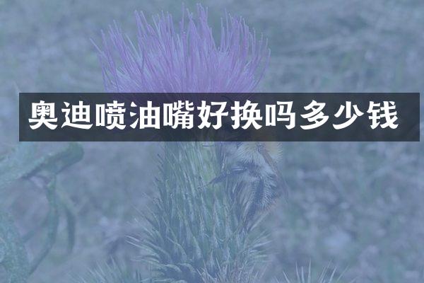 奥迪喷油嘴好换吗多少钱