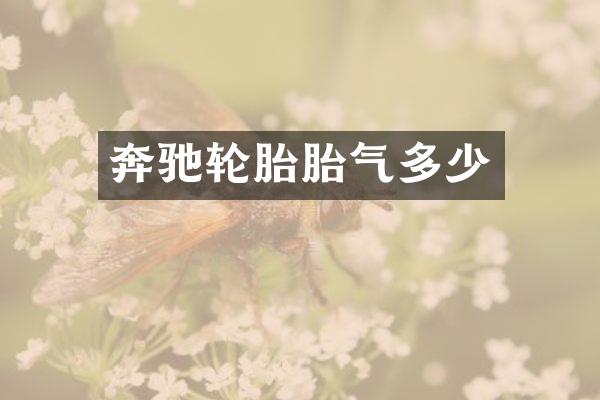 奔驰轮胎胎气多少