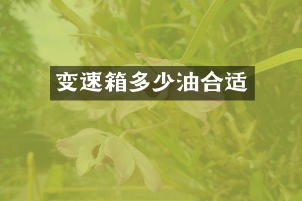 变速箱多少油合适