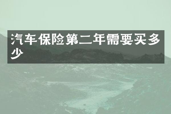 汽车保险第二年需要买多少