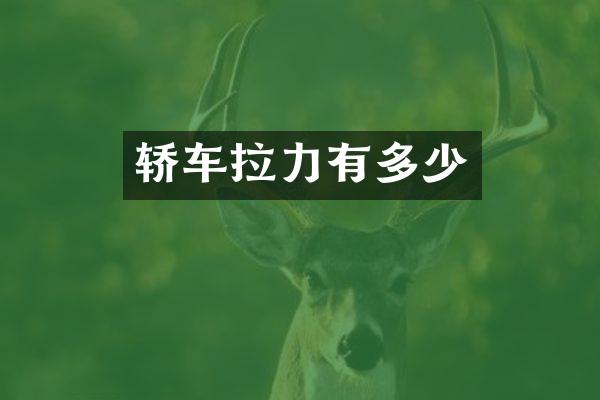 轿车拉力有多少