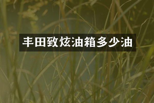 丰田致炫油箱多少油