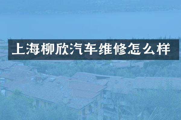 上海柳欣汽车维修怎么样