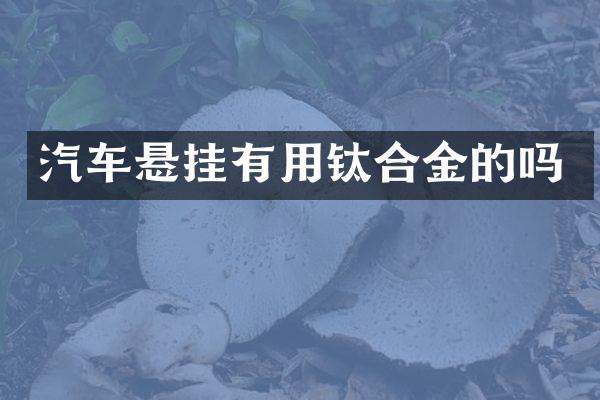 汽车悬挂有用钛合金的吗