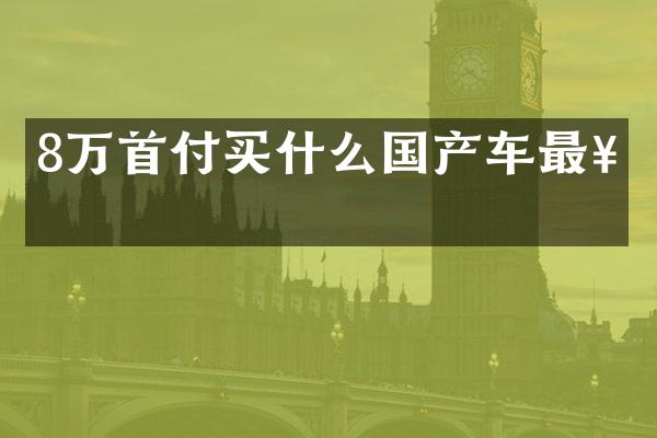 8万首付买什么国产车最好