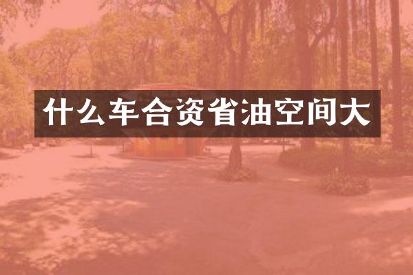 什么车合资省油空间大