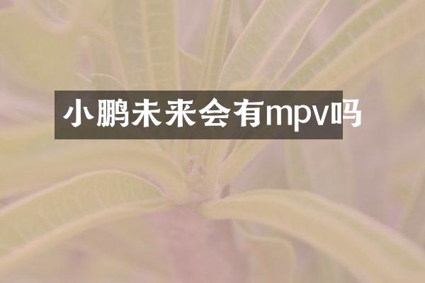小鹏未来会有mpv吗