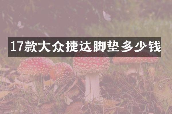 17款大众捷达脚垫多少钱