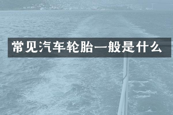 常见汽车轮胎一般是什么