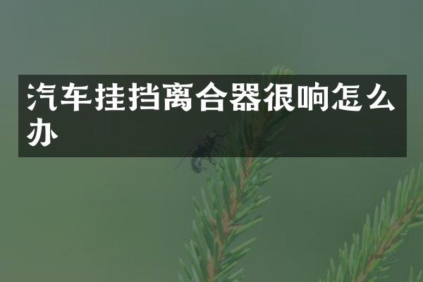汽车挂挡离合器很响怎么办