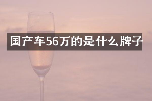 国产车56万的是什么牌子