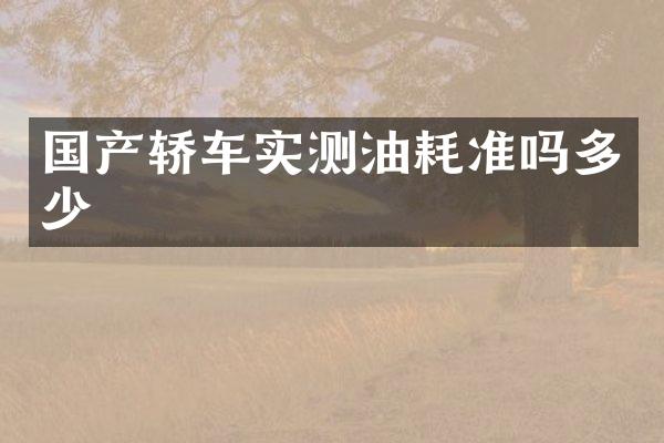 国产轿车实测油耗准吗多少