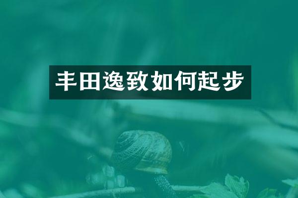 丰田逸致如何起步