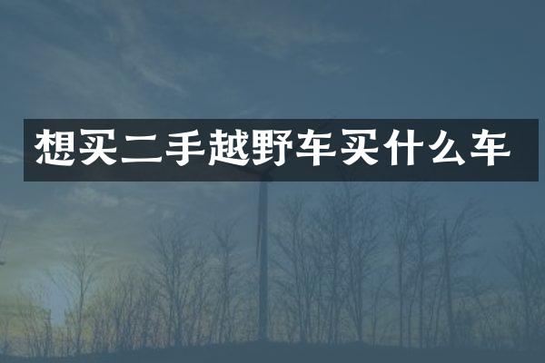 想买二手越野车买什么车