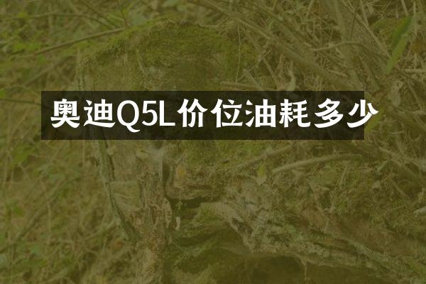奥迪Q5L价位油耗多少