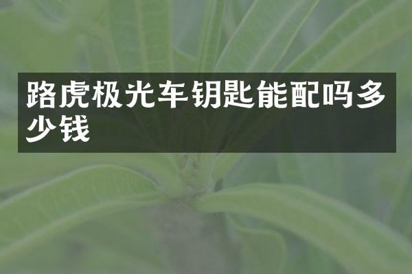 路虎极光车钥匙能配吗多少钱