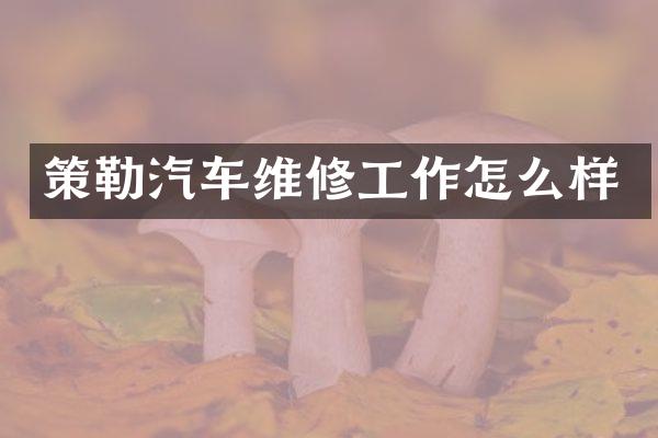 策勒汽车维修工作怎么样