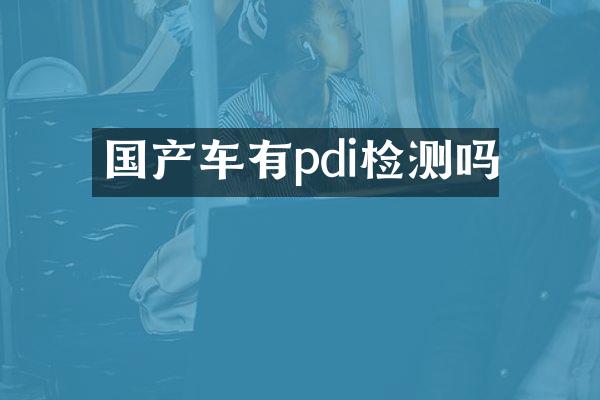 国产车有pdi检测吗
