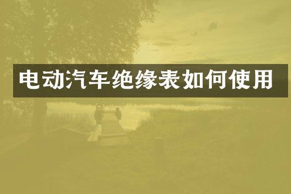 电动汽车绝缘表如何使用