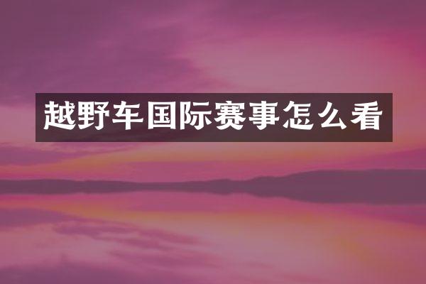 越野车国际赛事怎么看