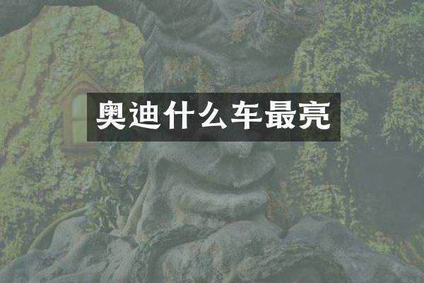 奥迪什么车最亮