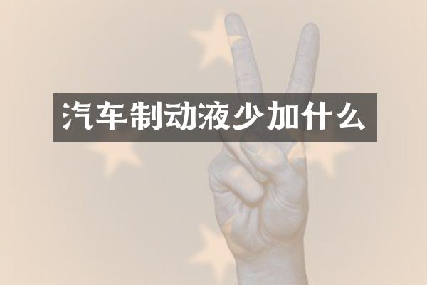 汽车制动液少加什么