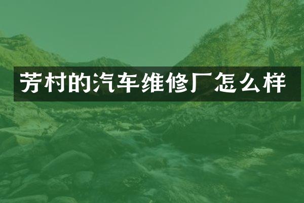 芳村的汽车维修厂怎么样