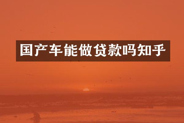 国产车能做贷款吗知乎