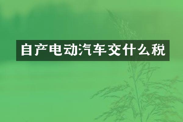 自产电动汽车交什么税