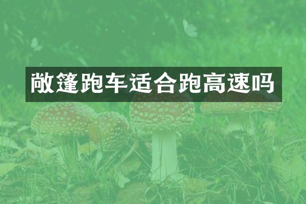 敞篷跑车适合跑高速吗