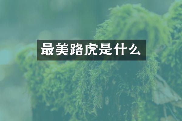 最美路虎是什么