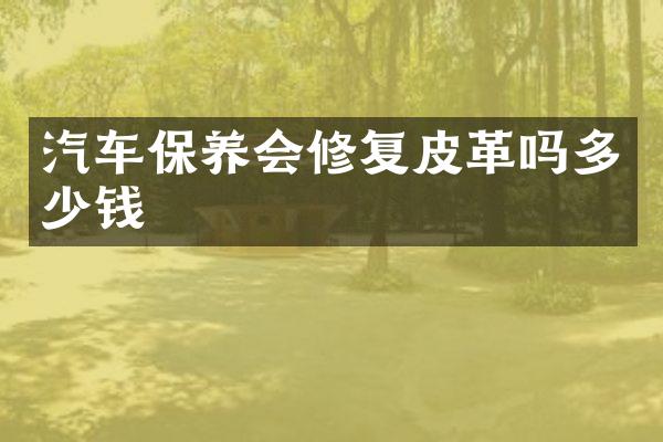 汽车保养会修复皮革吗多少钱