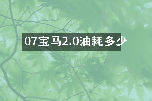 07宝马2.0油耗多少