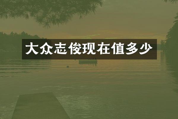 大众志俊现在值多少