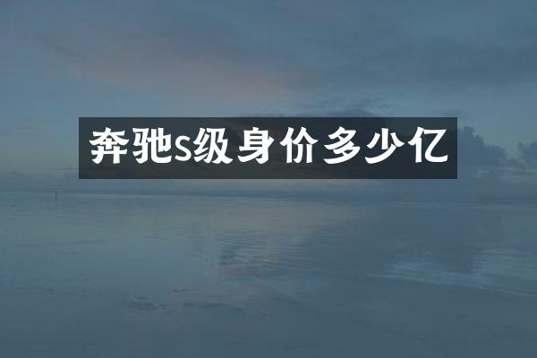 奔驰s级身价多少亿