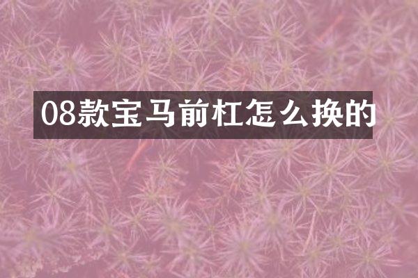 08款宝马前杠怎么换的