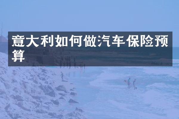 意大利如何做汽车保险预算