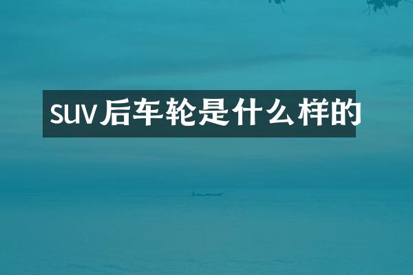 suv后车轮是什么样的