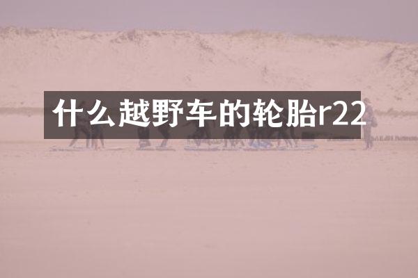 什么越野车的轮胎r22