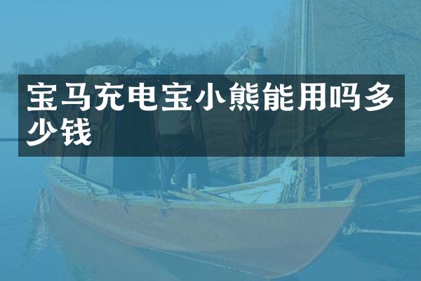 宝马充电宝小熊能用吗多少钱