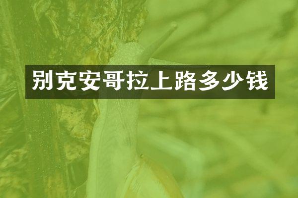 别克安哥拉上路多少钱