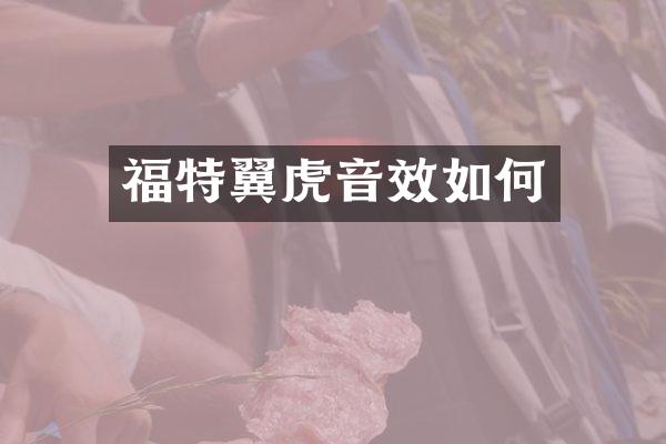 福特翼虎音效如何