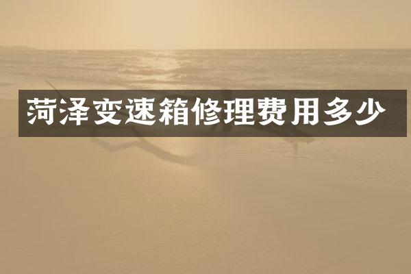 菏泽变速箱修理费用多少