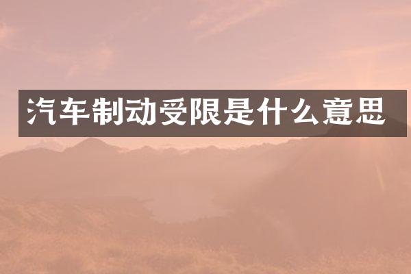 汽车制动受限是什么意思